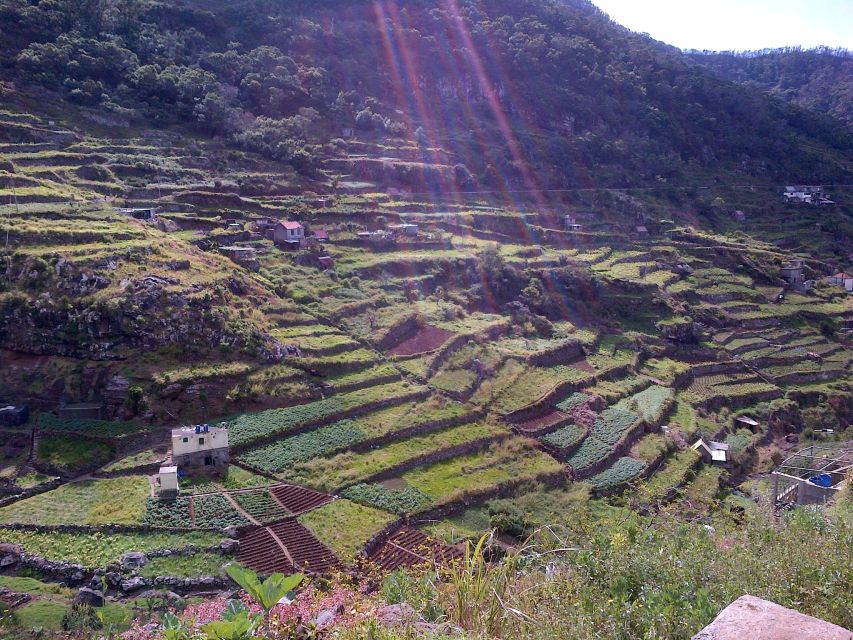 Madeira: Maroços Landscapes 2.5-Hour Guided Walk - The route basics: an easy 9 km walk that still has variety