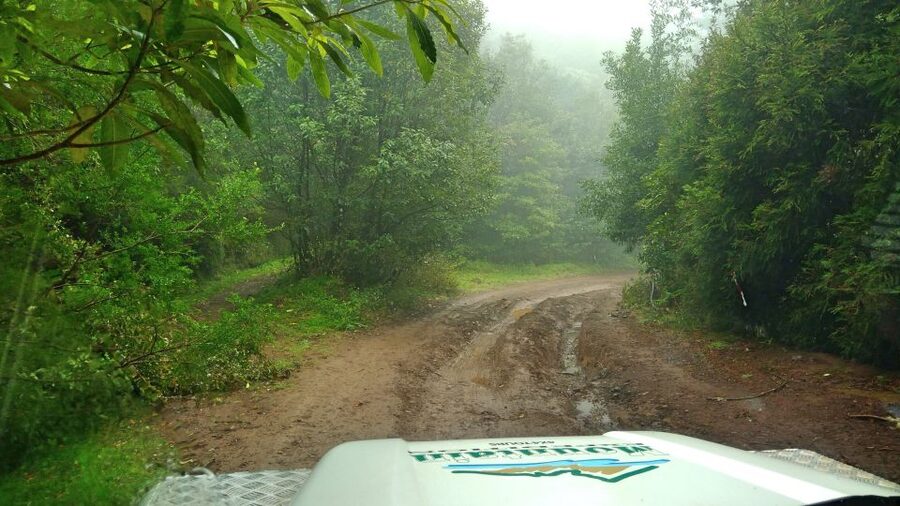 Madeira: Mini-Combo East Challenge: Jeep Safari + Levada - Camacha wicker town stop: what to look for and how to enjoy it