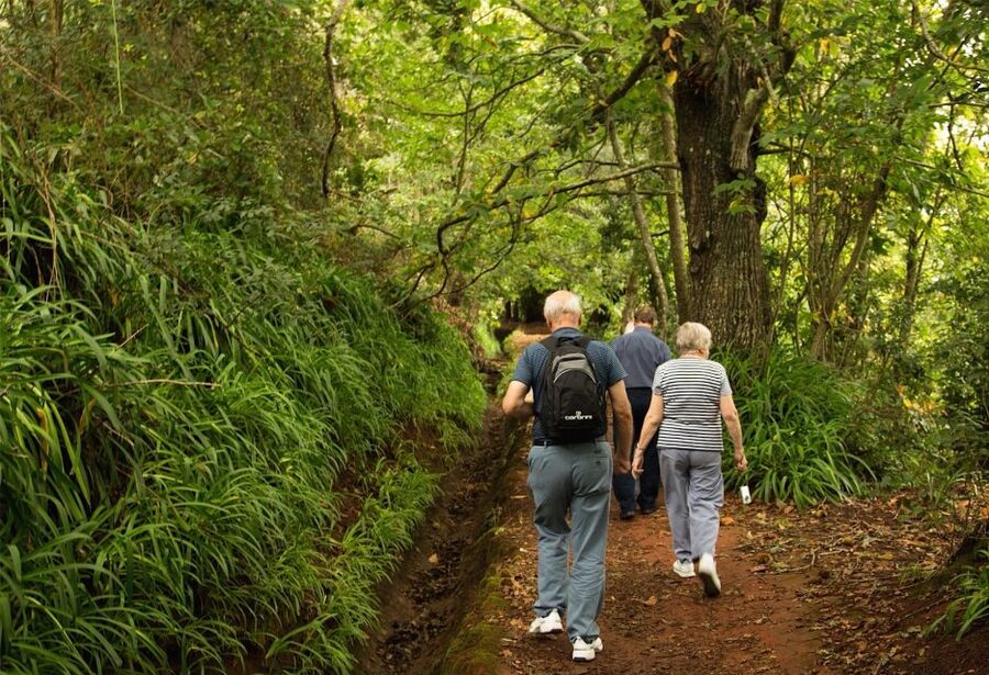 Madeira: Mini-Combo East Challenge: Jeep Safari + Levada - Machico viewpoint and the Portuguese first touch