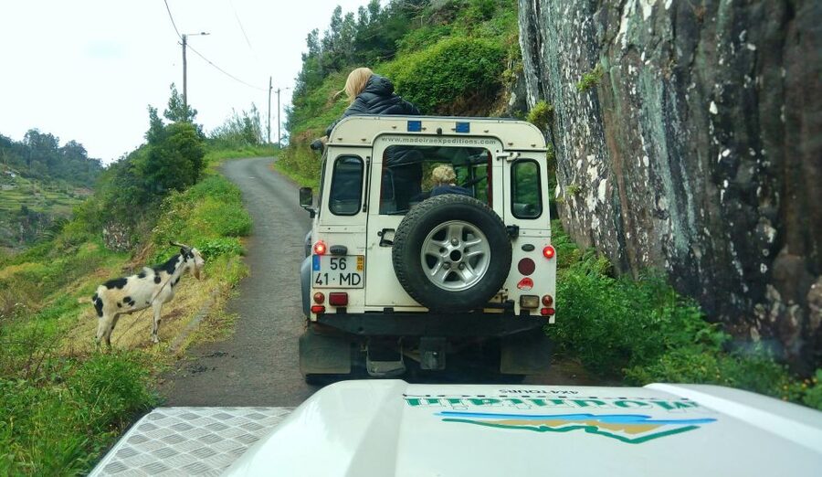 Madeira: Mini-Combo East Challenge: Jeep Safari + Levada - Starting in Funchal: pickup that keeps the day simple