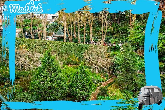 Madeira Monte Tobbogans and Old Town Tuk Tuk Tour by MadTuk - Carreiros do Monte toboggans: where the tour turns fun