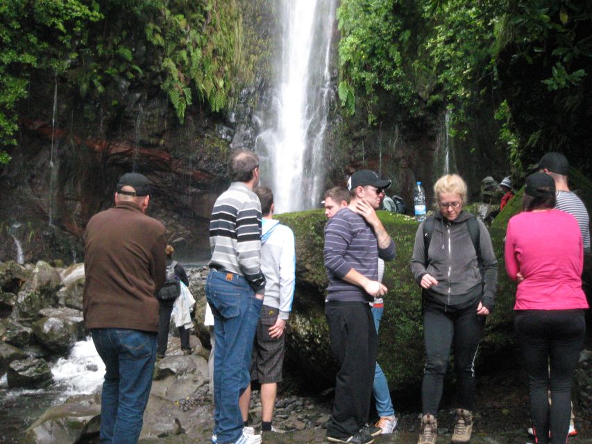 Madeira: Mountain Walk with Lagoon and Waterfalls - Key takeaways before you go