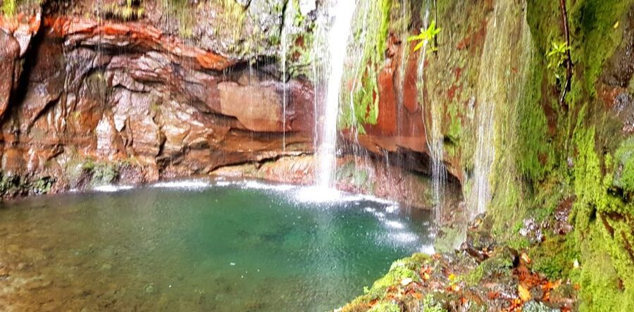 Madeira: Mountain Walk with Lagoon and Waterfalls - Levada das 25 Fontes: the walk that turns irrigation into drama