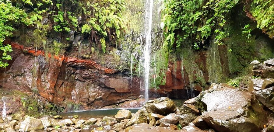 Madeira: Mountain Walk with Lagoon and Waterfalls - What the 8-hour day really feels like, including the long ride