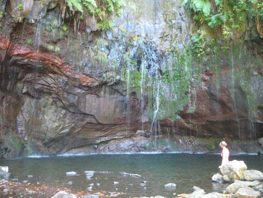 Madeira: Mountain Walk with Lagoon and Waterfalls - Getting the most from the path: what to bring, and how to pace