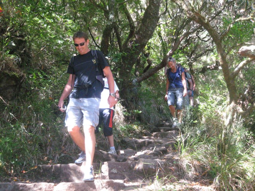 Madeira: Mountain Walk with Lagoon and Waterfalls - Price and value: is $55 a good deal?