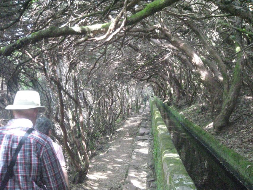 Madeira: Mountain Walk with Lagoon and Waterfalls - Who should book this Levada and lagoon hike?