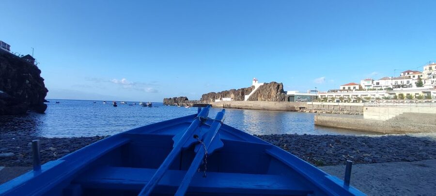 Madeira "Mystery Tour" Half-Day - Private 4x4 Jeep - Forest Stretches, Wildlife Viewing, and Making Time for Nature