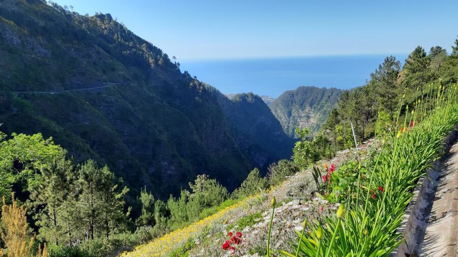 Madeira: Nun's Valley Private Tour - Stop by Ribeira dos Socorrido, Madeira’s Water in View