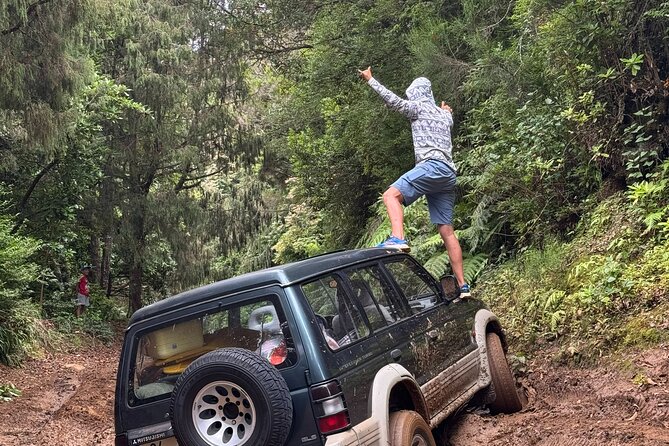 Madeira Off-Road 4x4 Jeep Adventure Private Full day Tour - Key Highlights You’ll Actually Care About