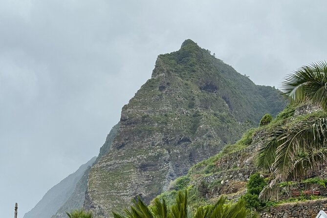 Madeira Off-Road 4x4 Jeep Adventure Private Full day Tour - Price and Value: Paying for a Private Jeep Up to 6 People