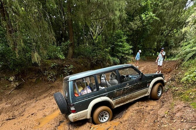 Madeira Off-Road 4x4 Jeep Adventure Private Full day Tour - Funchal Pickup Timing, What to Expect, and Why the Timing Matters