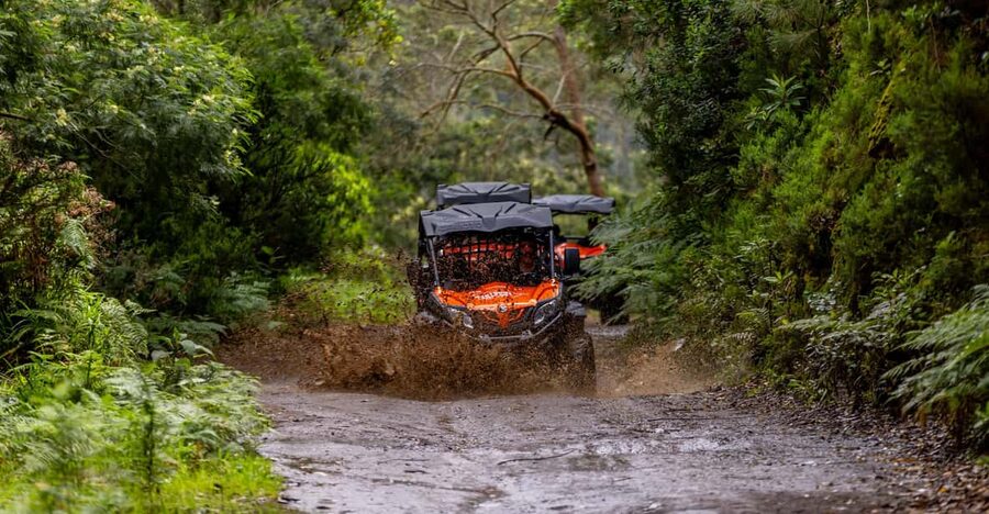 Madeira: Off-Road Buggy Adventure Through Laurissilva Forest - Key Things I’d Prioritize Before Booking