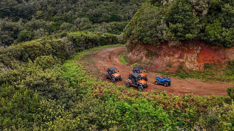 Madeira: Off-Road Buggy Adventure Through Laurissilva Forest - The Route Starts in Fajã dos Rolos, Then Heads Into the Forest