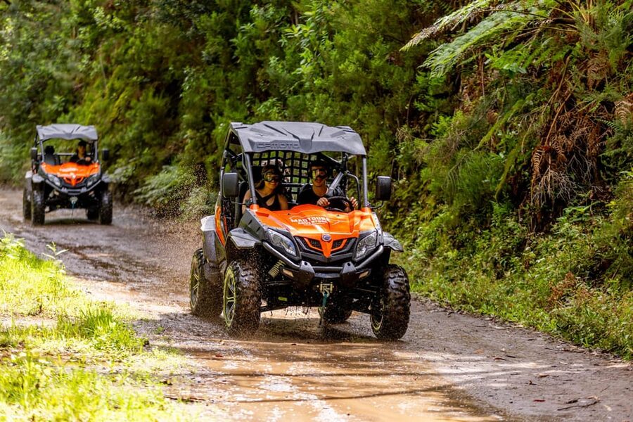 Madeira: Off-Road Buggy Adventure Through Laurissilva Forest - Driving the Buggy Through Dust and Mud (This Is the Whole Point)