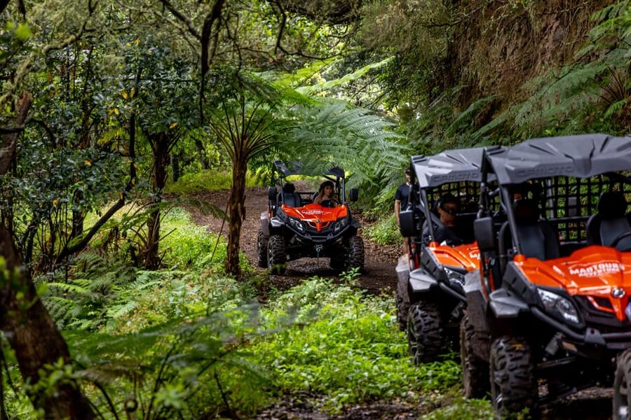 Madeira: Off-Road Buggy Adventure Through Laurissilva Forest - Casa das Funduras: A Forestry Stop That Makes the Forest Feel Real