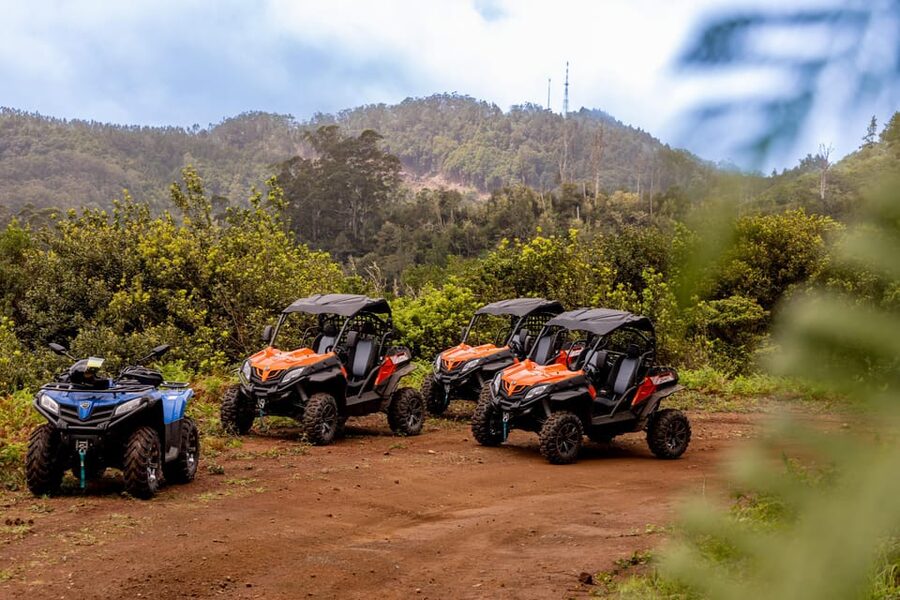 Madeira: Off-Road Buggy Adventure Through Laurissilva Forest - Guides Like Greg and Nuno: The Difference Between a Ride and an Experience