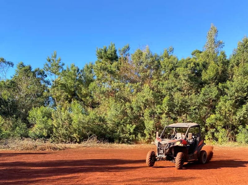 Madeira: Off-Road Buggy Driving Experience - Is it worth it if you care more about nature than adrenaline?