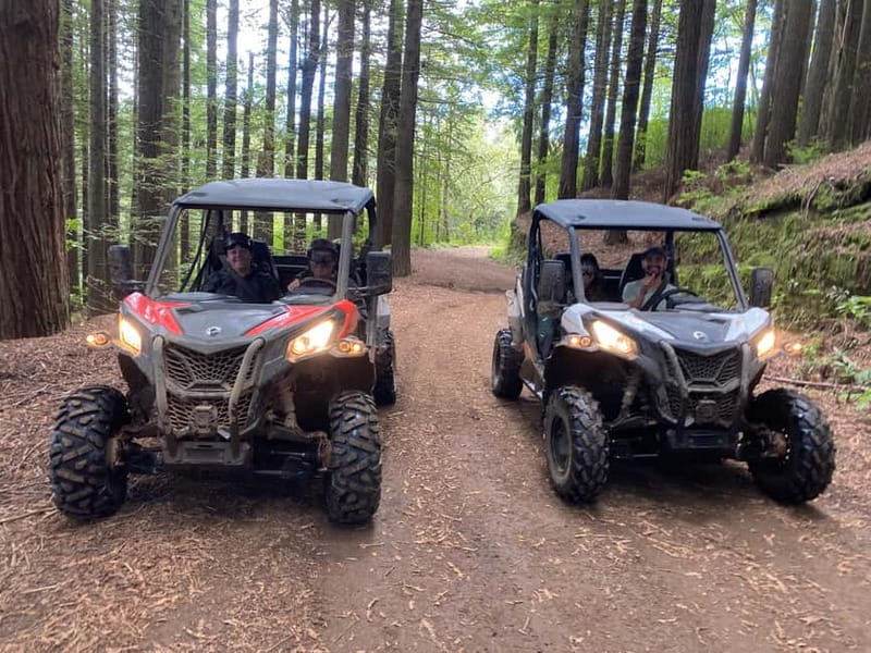 Madeira: Off-Road Buggy Driving Experience - Why Madeira Laurisilva is the right place for off-road driving