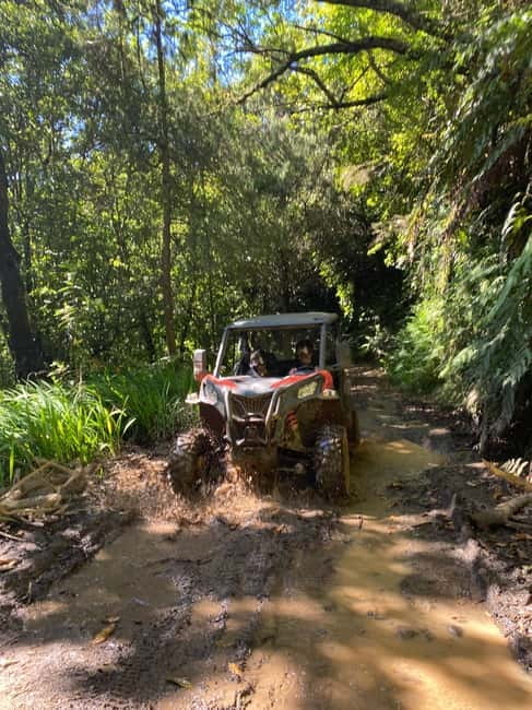 Madeira: Off-Road Buggy Driving Experience - The route vibe: forest tracks, viewpoints, and photo stops