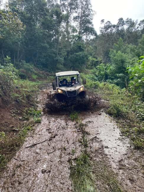 Madeira: Off-Road Buggy Driving Experience - A clear guide makes or breaks the experience