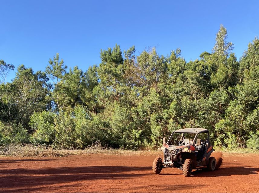 Madeira: Off-Road Buggy Driving Experience - How long it takes, and the pacing you should expect