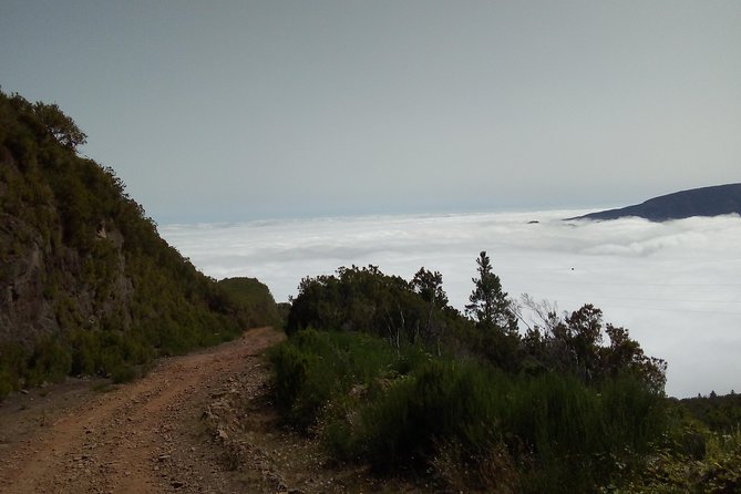 Madeira Off-Road Tours - Porto Moniz Natural Swimming Pools and Paúl da Serra’s off-road stretch