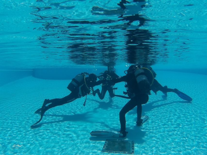 Madeira: Open Water Diver First Certification Course - Day-by-day flow, without the guesswork