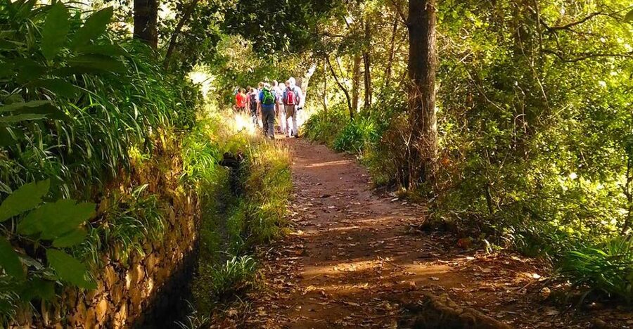 Madeira: Paradise Valley Levada Walk - Why the Levada Da Serra do Faial feels like Paradise Valley