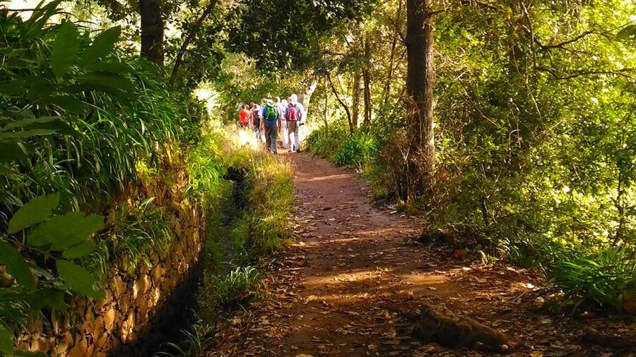 Madeira: Paradise Valley Levada Walk - Vale do Paraíso: where the walk starts and how to prepare yourself