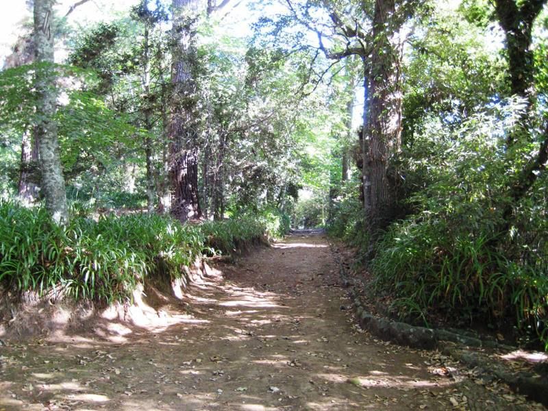Madeira: Paradise Valley Levada Walk - How easy is this walk, really? Shoes, pace, and comfort