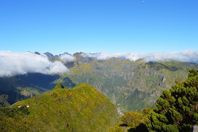 Madeira Peaks - Mountain Walk - The Real Vibe: A Mountain Day, Not a Casual Walk