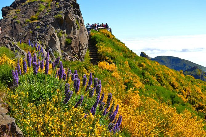 Madeira Peaks - Mountain Walk - Pico Ruivo: Where the Views Make You Forget the Effort