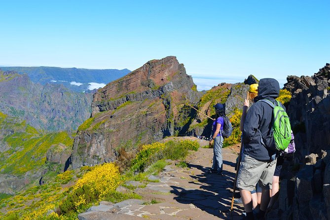 Madeira Peaks - Mountain Walk - Stop 3, the Magic Segment: Vereda do Pico Ruivo and the Heather Forest