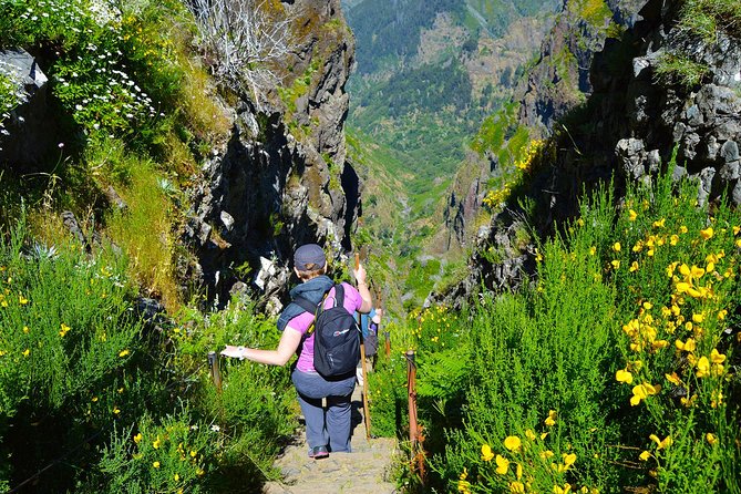 Madeira Peaks - Mountain Walk - The Photo and Pace Trade-Off