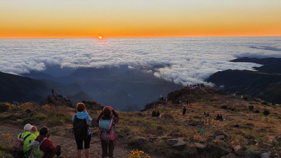Madeira: Pico do Areeiro Sunrise Tour - The coffee stop near São Roque do Faial, small moment, big payoff