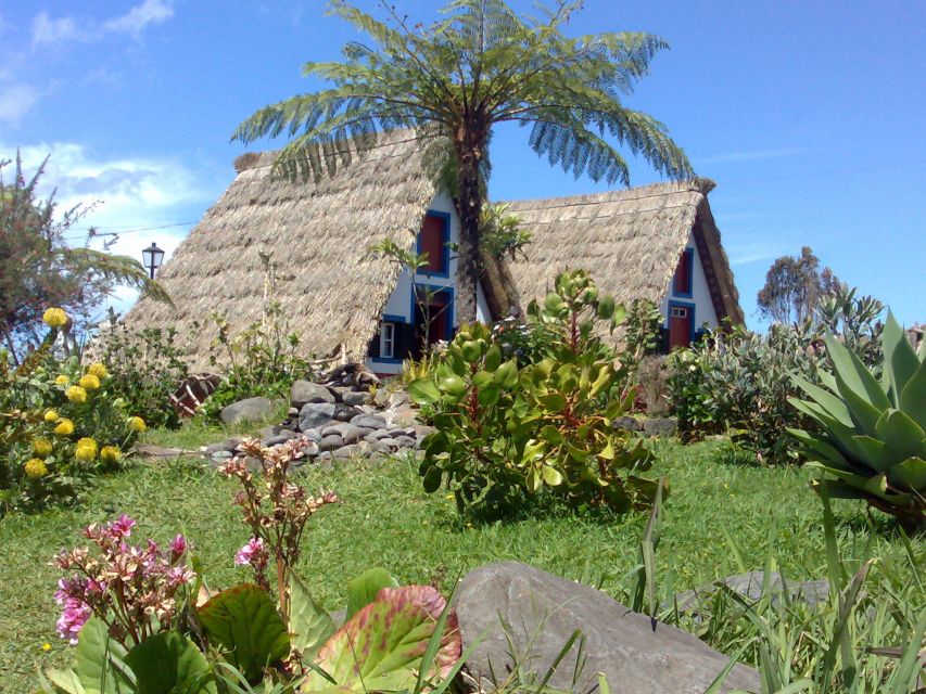 Madeira: Pico do Arieiro & Laurissilva Forest - East tour - Key points to know before you go