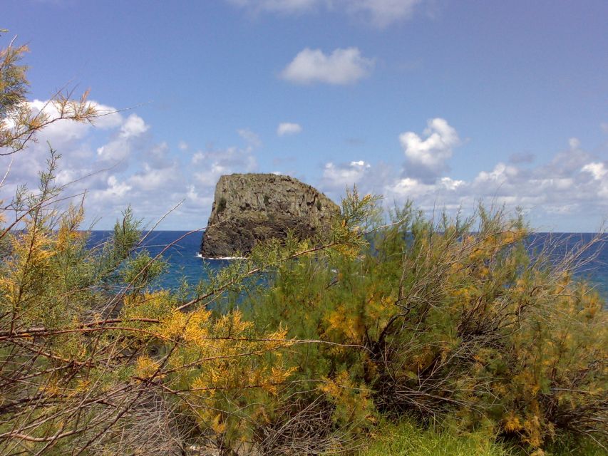 Madeira: Pico do Arieiro & Laurissilva Forest - East tour - Pico do Arieiro at 1,818 m: the view is the point