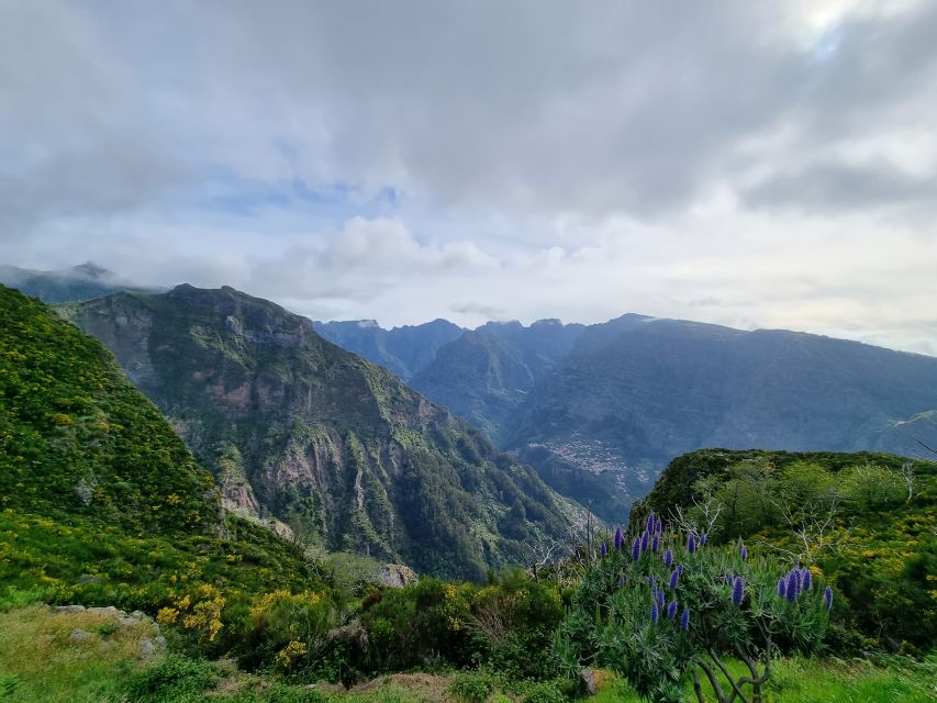 Madeira: Picturesque Peaks and Skywalk private 4x4 Jeep tour - Price and logistics: does this private 4x4 tour feel like value?