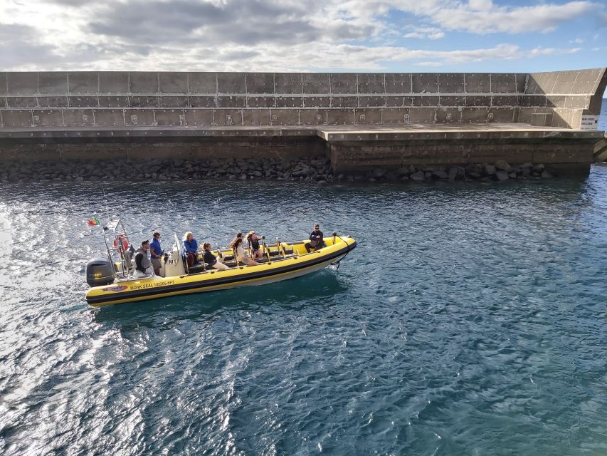 Madeira: Ponta de São Lourenço Lighthouse Boat Tour - What to bring, rules on strollers, and who might not enjoy it