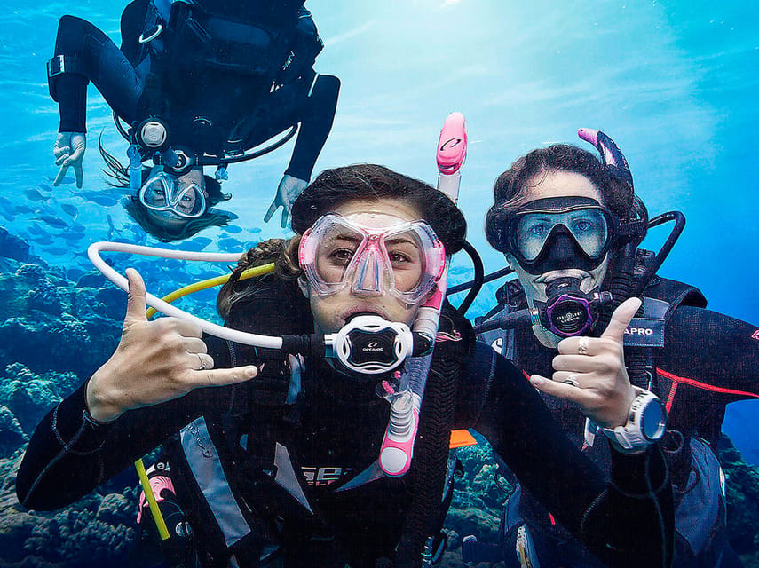 Madeira, Ponta São Lourenço: Scuba Diving for Beginners - What to Bring (and What Not to Worry About)