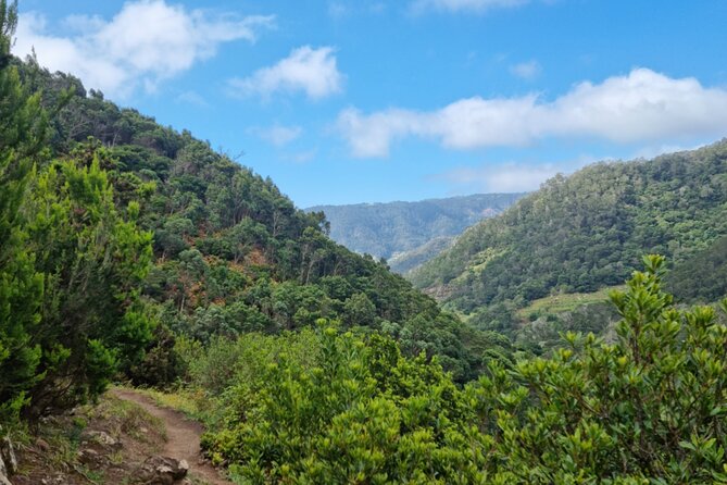 Madeira Porto da Cruz to Machico Self Hiking Tour with Transfer - Small-group advantage on a Madeira trail
