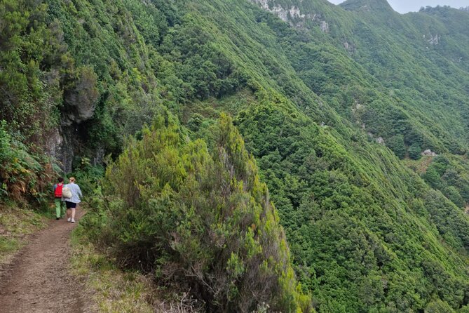 Madeira Porto da Cruz to Machico Self Hiking Tour with Transfer - Weather matters here, so use it wisely