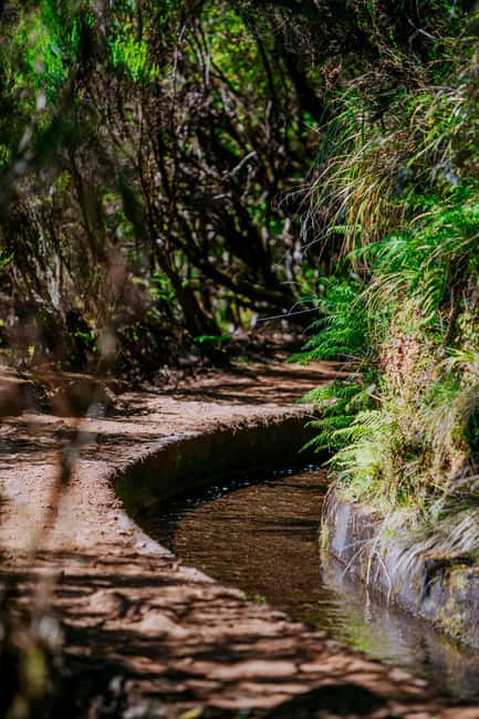 Madeira: PR 18 - Levada do Rei Hike Transfer - Key things that make PR18 Levada do Rei worth your time