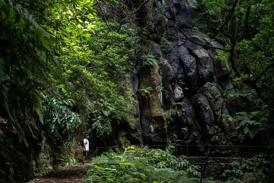 Madeira: PR 9 - Levada do Caldeirão Verde Hike Transfer - Key things I liked about the PR9 Levada do Caldeirão Verde transfer