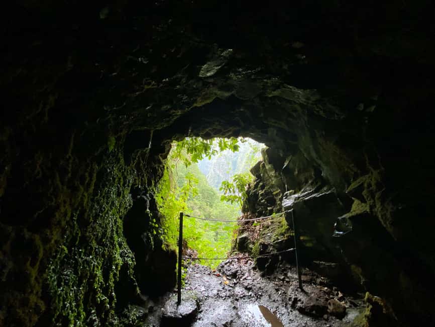 Madeira: PR 9 - Levada do Caldeirão Verde Hike Transfer - UNESCO Laurissilva Forest levadas: water history and four tunnel moments