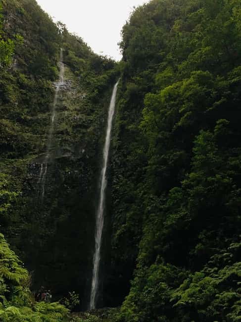 Madeira: PR 9 - Levada do Caldeirão Verde Hike Transfer - Caldeirão Verde lake and the vertical waterfall finale
