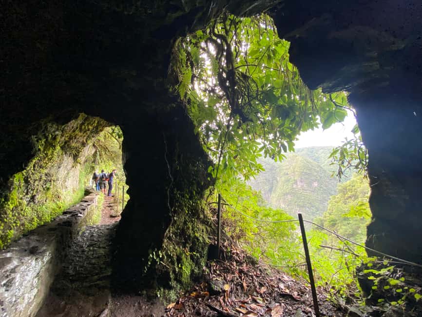 Madeira: PR 9 - Levada do Caldeirão Verde Hike Transfer - Price and what you still pay: the value case for the $47 transfer