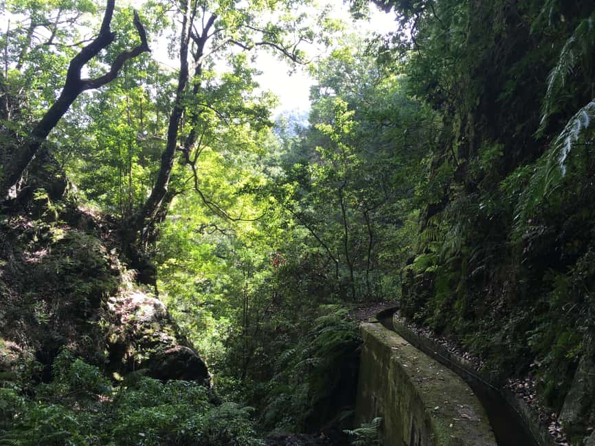 Madeira: PR 9 - Levada do Caldeirão Verde Hike Transfer - Who should book this PR9 transfer, and who should skip it