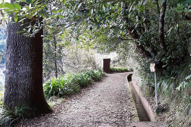 Madeira: Private 1.5-Kilometer Levada dos Balcões Hike PR11 - Walking from Ribeiro Frio to the Balcões belvedere, what the trail feels like